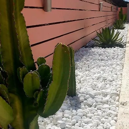 Casa Mijo Oda ve Kahvaltı Daimalos