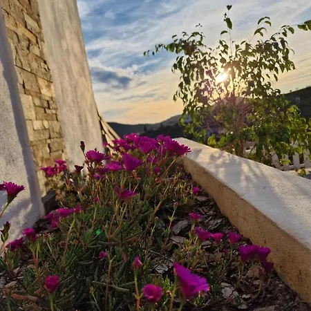 Oda ve Kahvaltı Casa Mijo